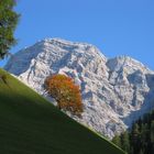 Herbst in Wengen / Gadertal