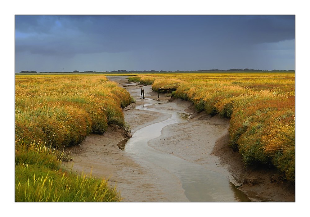 Herbst in Westerhever