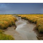 Herbst in Westerhever