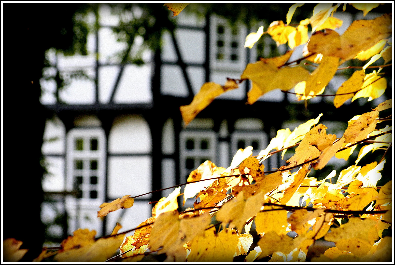 Herbst in Westfalen