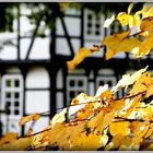 Herbst in Westfalen