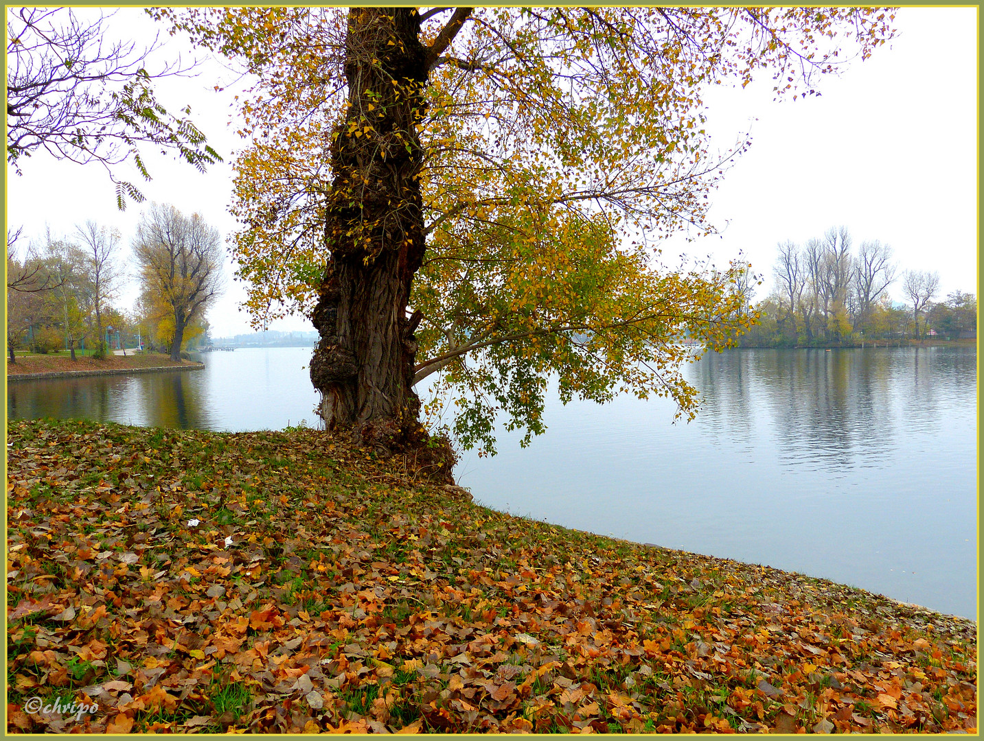 Herbst in Wien