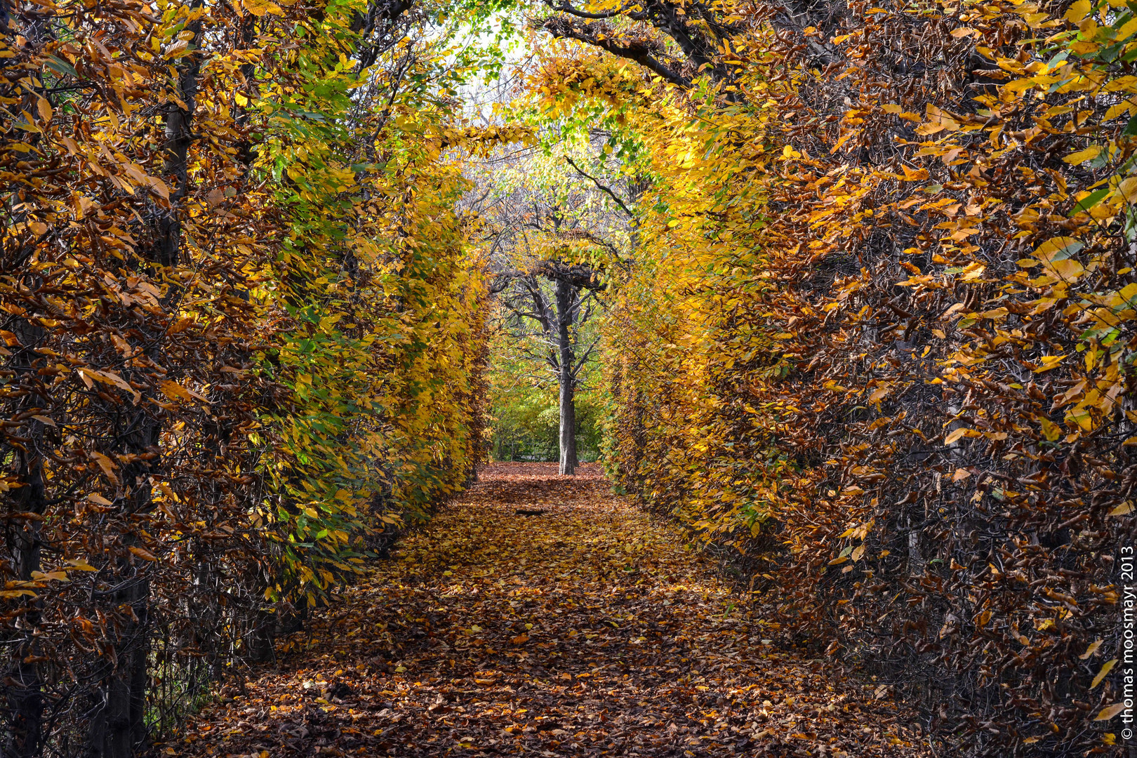 Herbst in Wien 2013