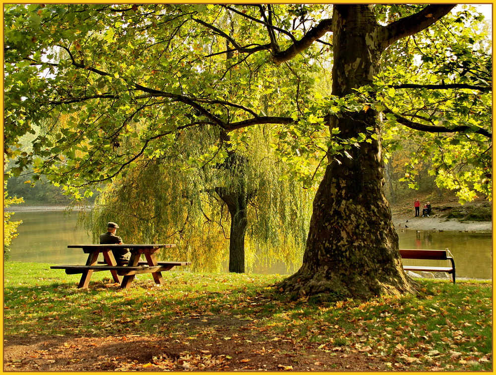 Herbst in Wien