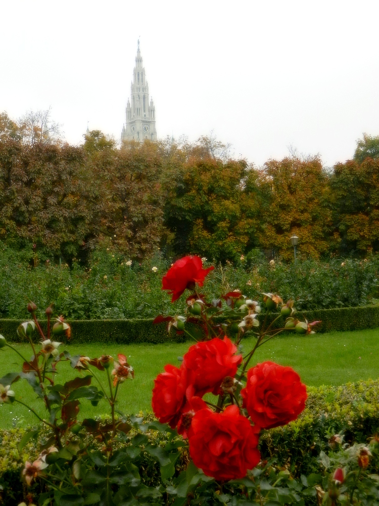 Herbst in Wien