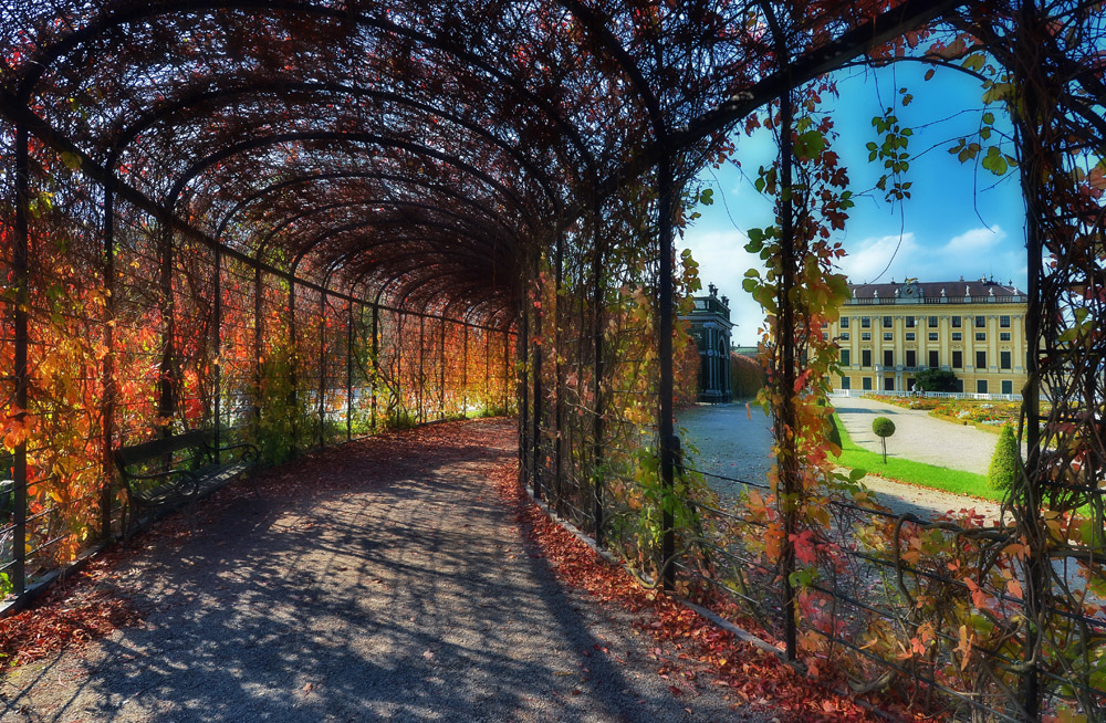 Herbst in Wien