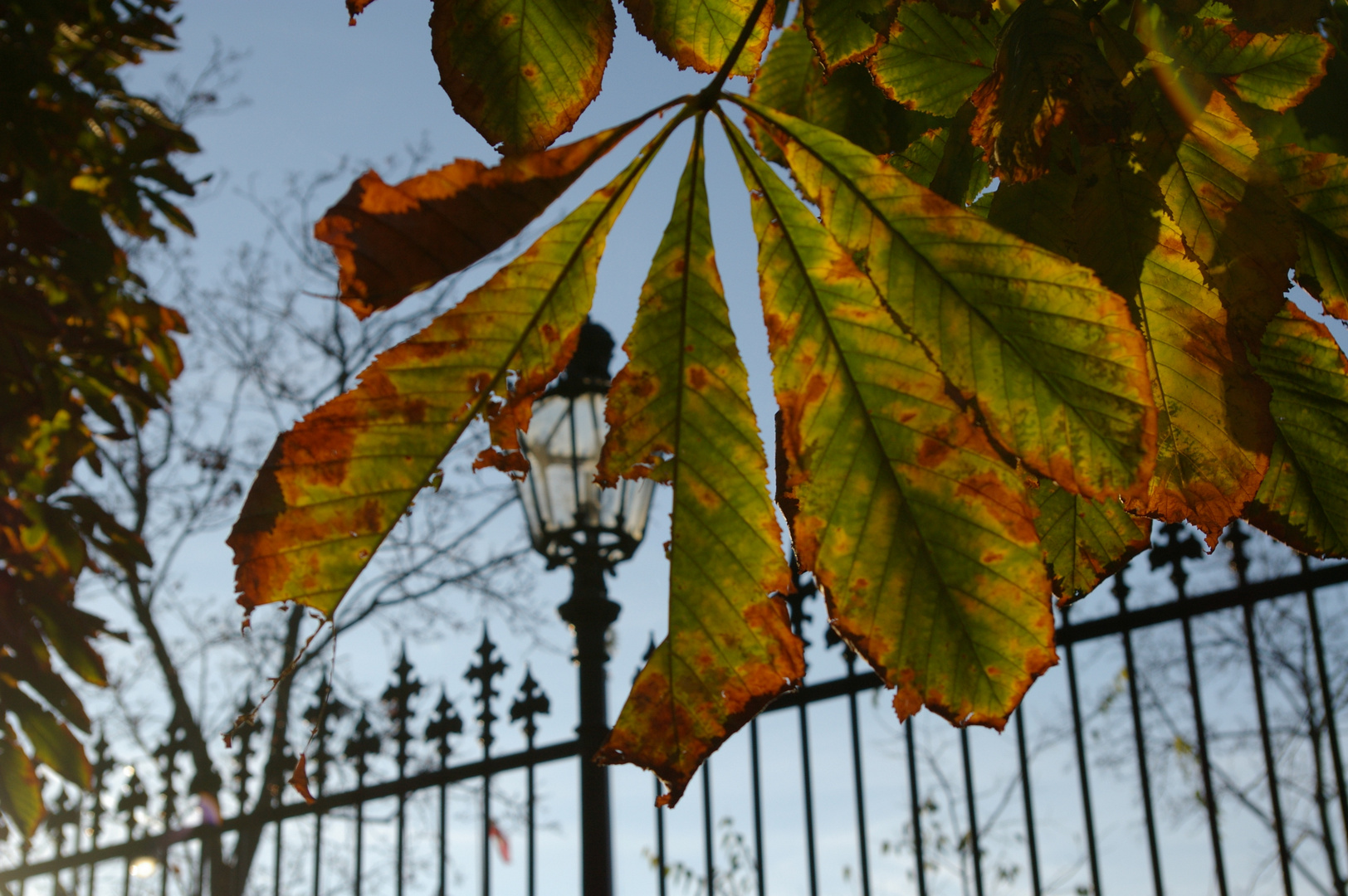 Herbst in Wien