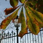 Herbst in Wien