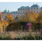 Herbst in Wien