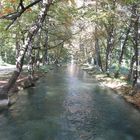 Herbst in Wiener Neustadt