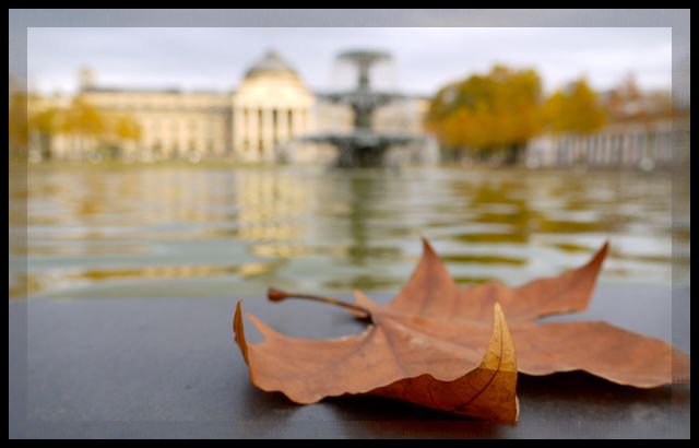 Herbst in Wiesbaden