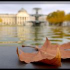 Herbst in Wiesbaden