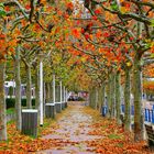 Herbst in Wiesbaden