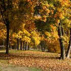 Herbst in Wilhelmsbad..