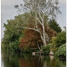 Herbst in Wilhelmsburg