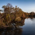 Herbst in Wilhelmsburg