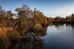 Herbst in Wilhelmsburg