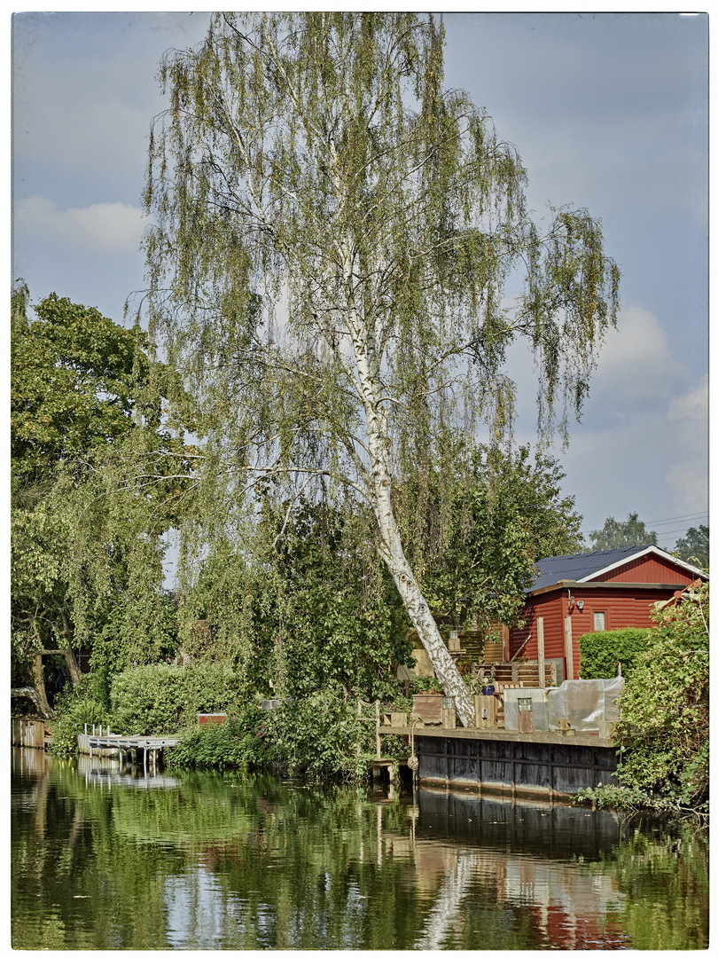 Herbst in Wilhelmsburg