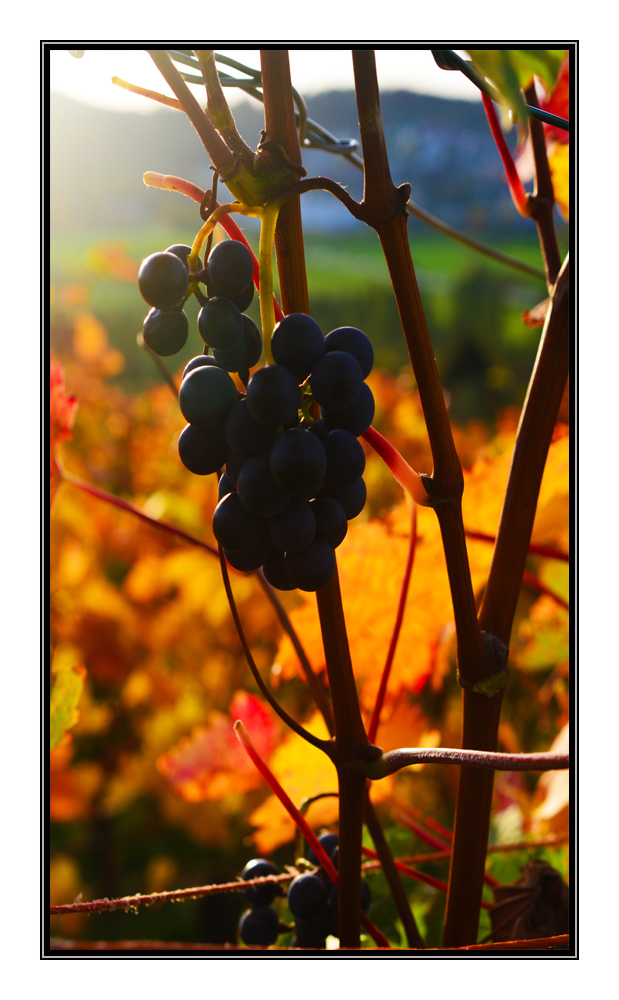 Herbst in Winnenden.....4