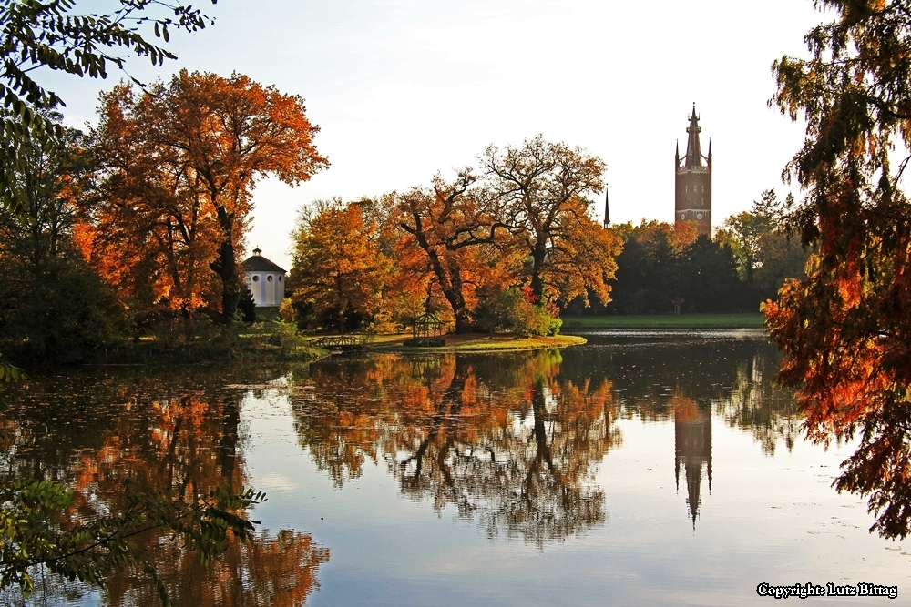 Herbst in Wörlitz