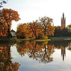 Herbst in Wörlitz