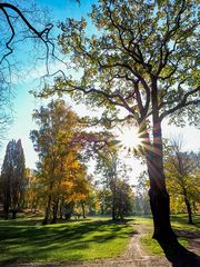 Herbst in Wolfenbüttel