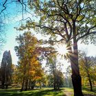 Herbst in Wolfenbüttel