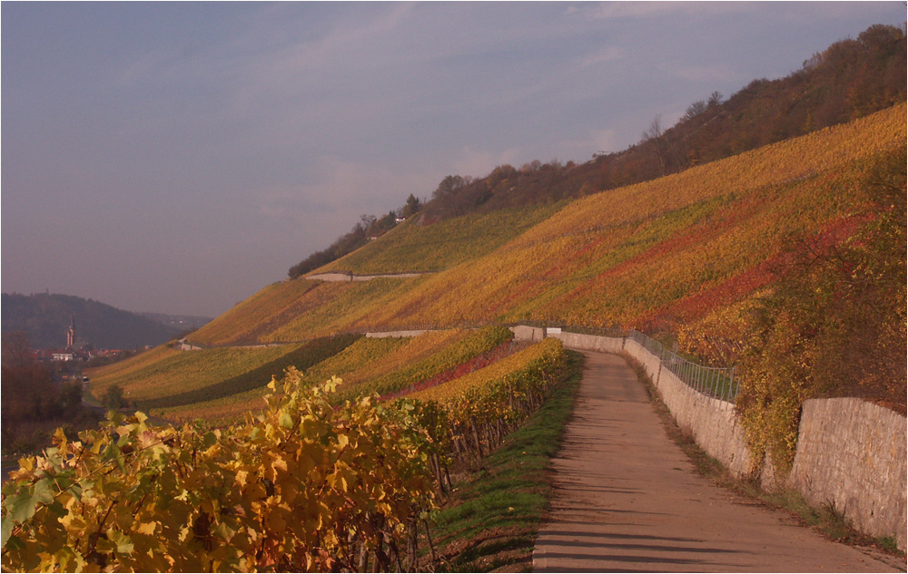 Herbst in Würzburg (10)