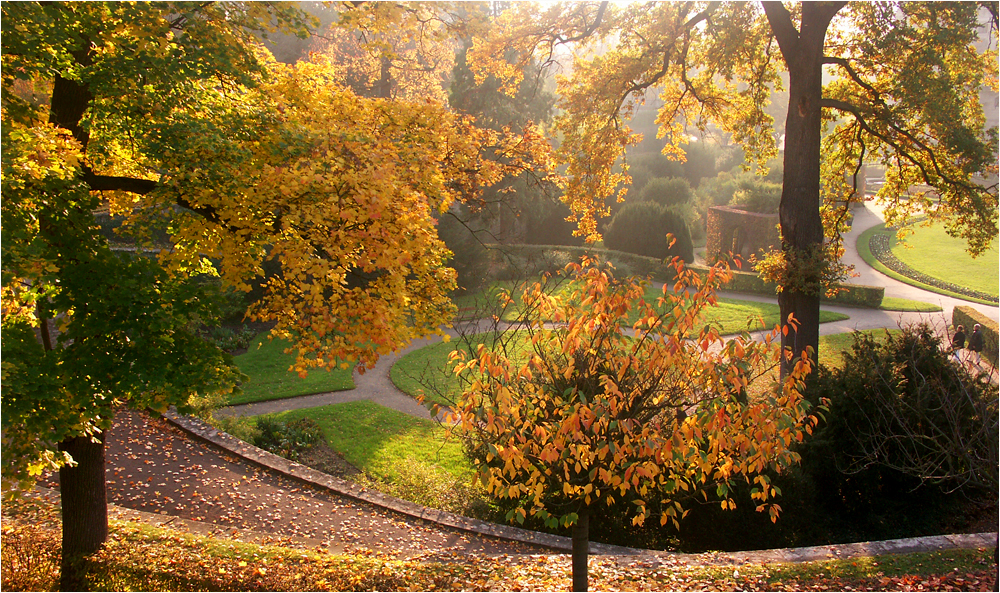 Herbst in Würzburg (3)