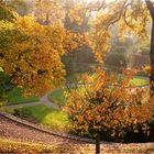 Herbst in Würzburg (3)