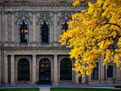 Herbst in Würzburg