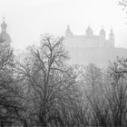 Herbst in Würzburg