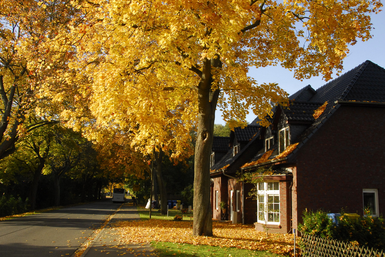 Herbst in Wusterhausen(Dosse)