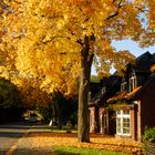 Herbst in Wusterhausen(Dosse)