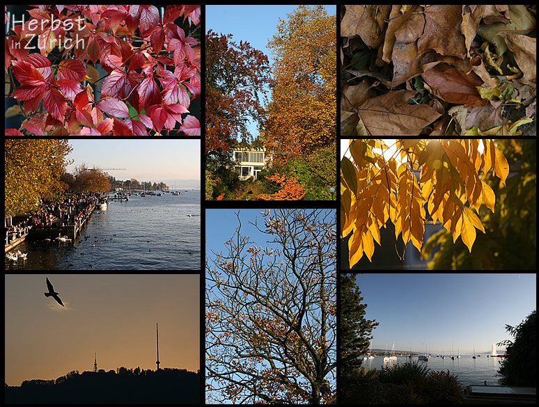 Herbst in Zürich