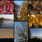 Herbst in Zürich