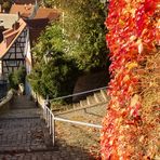 Herbst in Zwingenberg