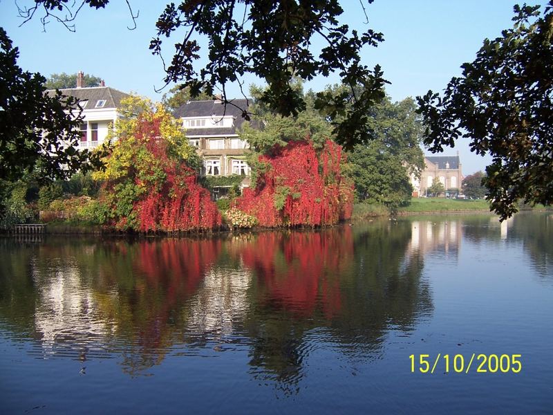 Herbst in Zwolle