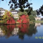 Herbst in Zwolle