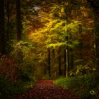 Herbst-Inspiration