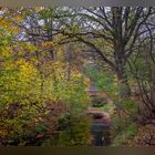 Herbst irgendwo in Thüringen