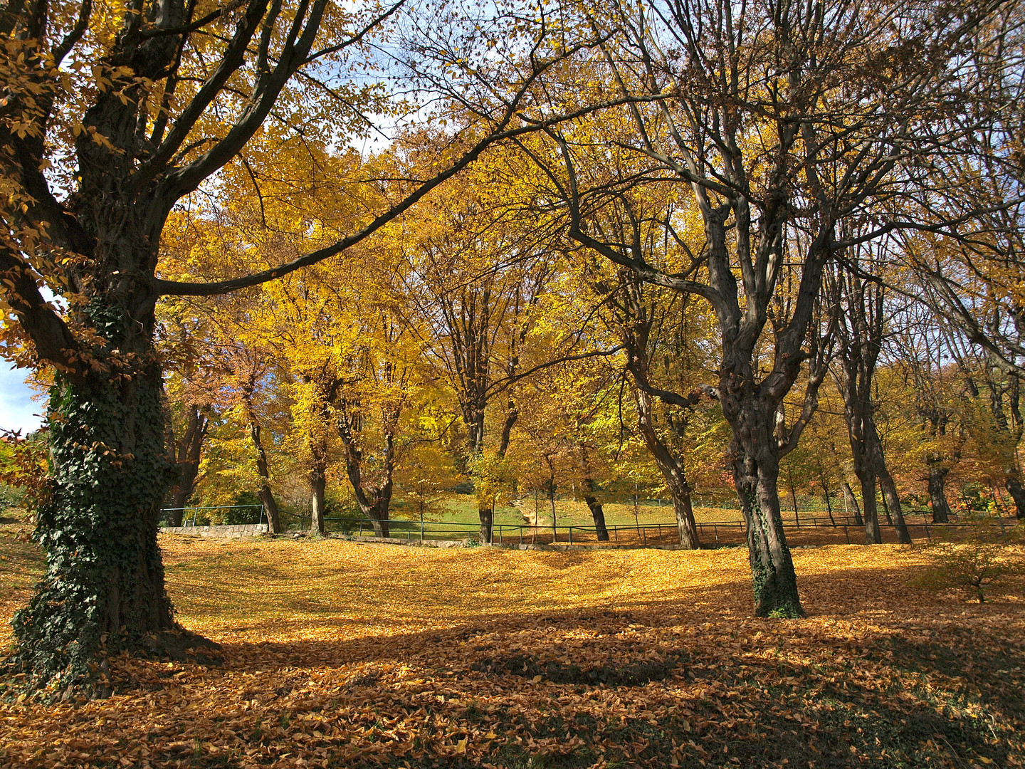 Herbst is