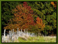 Herbst isses...