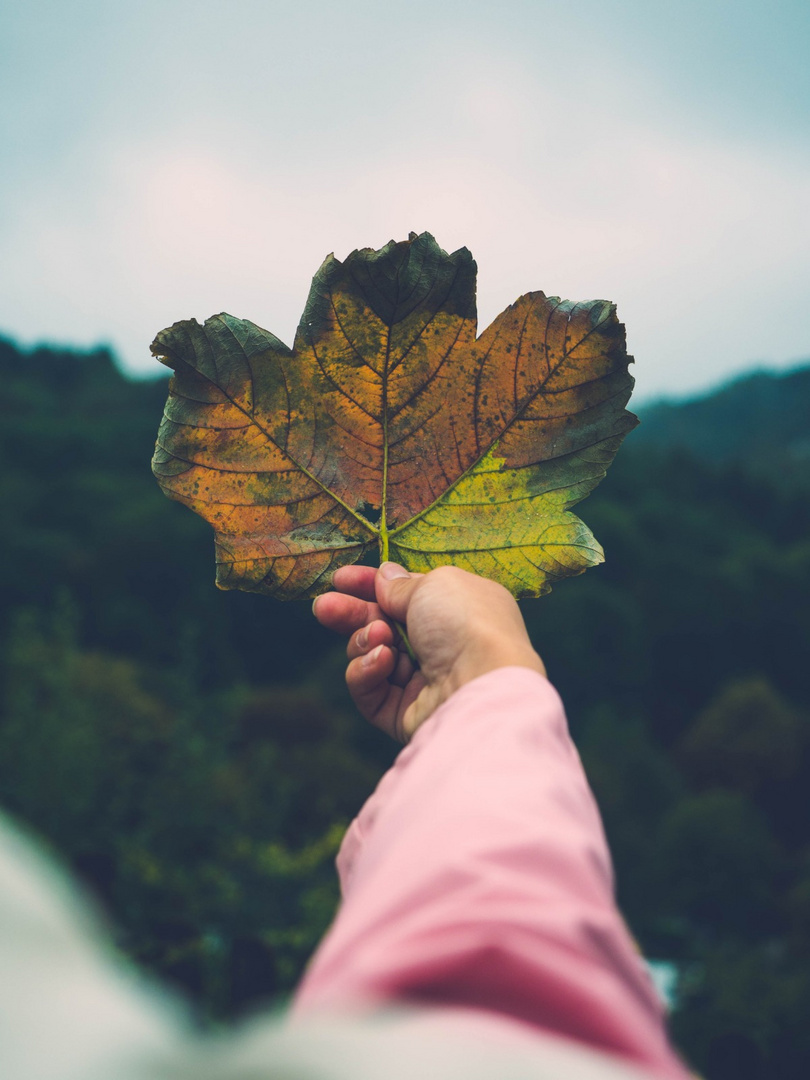 Herbst ist bald da 