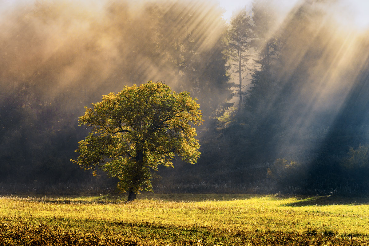 Herbst ist da