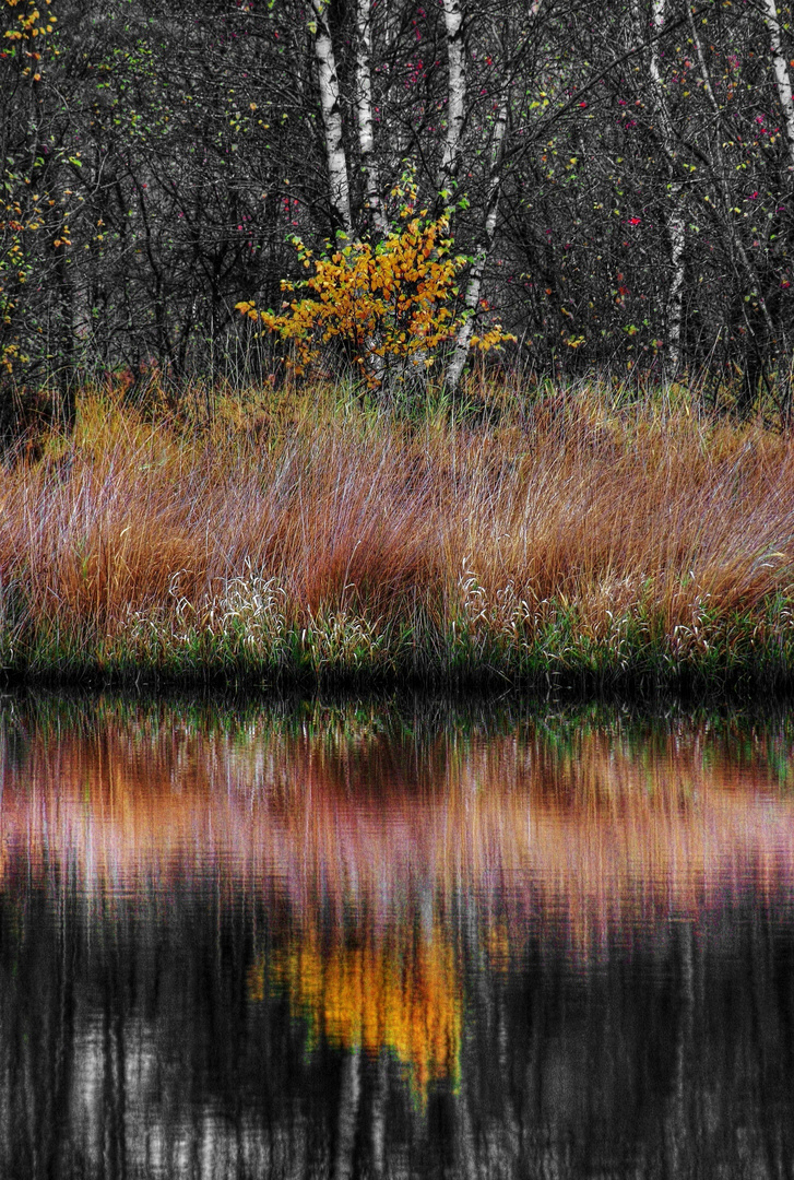 Herbst ist da