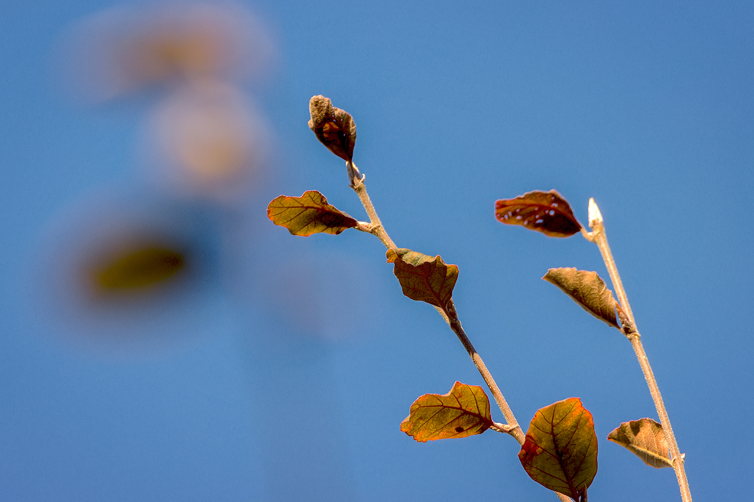 Herbst ist da