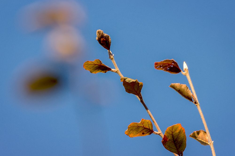 Herbst ist da