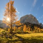 Herbst ist die schönste farbe