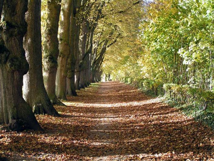 Herbst ist einer der schönsten Jahreszeiten!